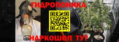 метадон Гусев