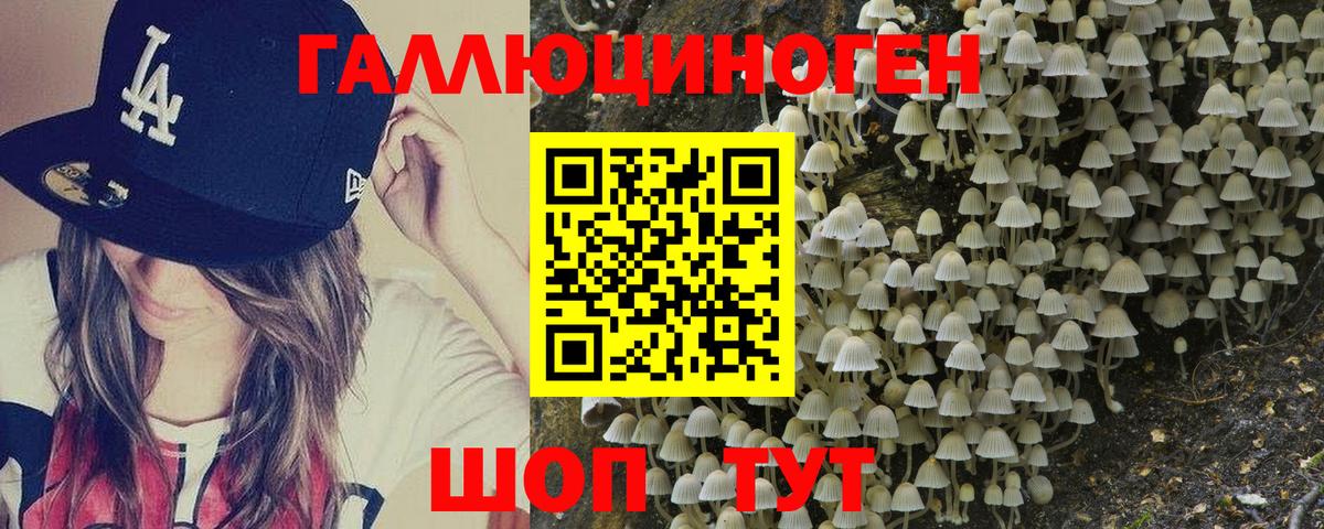 Гусь-Хрустальный  Галлюциногенные грибы прущие грибы  Галлюциногенные грибы Psilocybine cubensis  Вход с VPN 