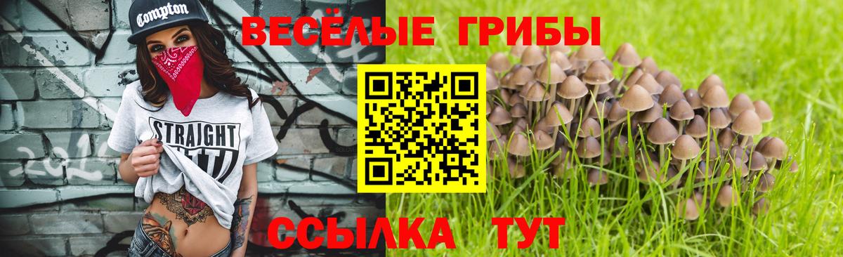 Галлюциногенные грибы мицелий Гусь-Хрустальный